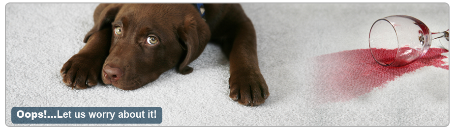 5-Carpet-Stain-Banner